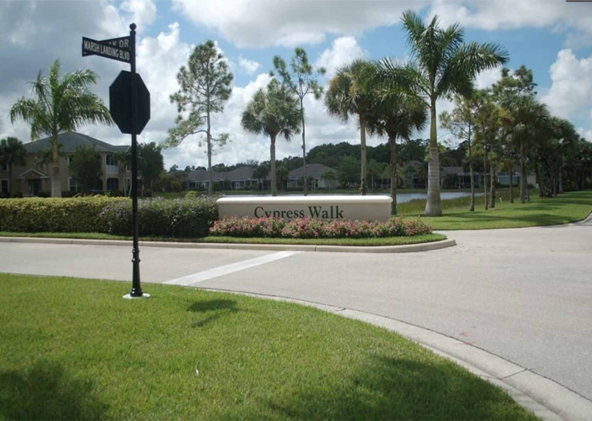 cypressWalk.png